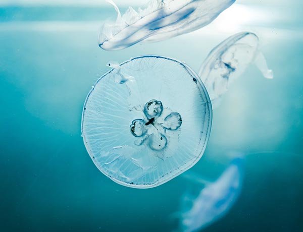 Contact 8 willian-justen-de-vasconcellos-ASKGjAeIY_U-unsplash