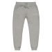 unisex-fleece-sweatpants-carbon-grey-front-649991325a870.jpg