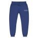 unisex-fleece-sweatpants-team-royal-front-649991325a6e8.jpg