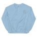 unisex-crew-neck-sweatshirt-light-blue-front-64a9661c1977b.jpg