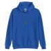 unisex-heavy-blend-hoodie-royal-front-64b3e44e958de.jpg