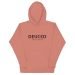 unisex-premium-hoodie-dusty-rose-front-64b3c47193d27.jpg